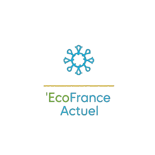 EcoFrance-info logo